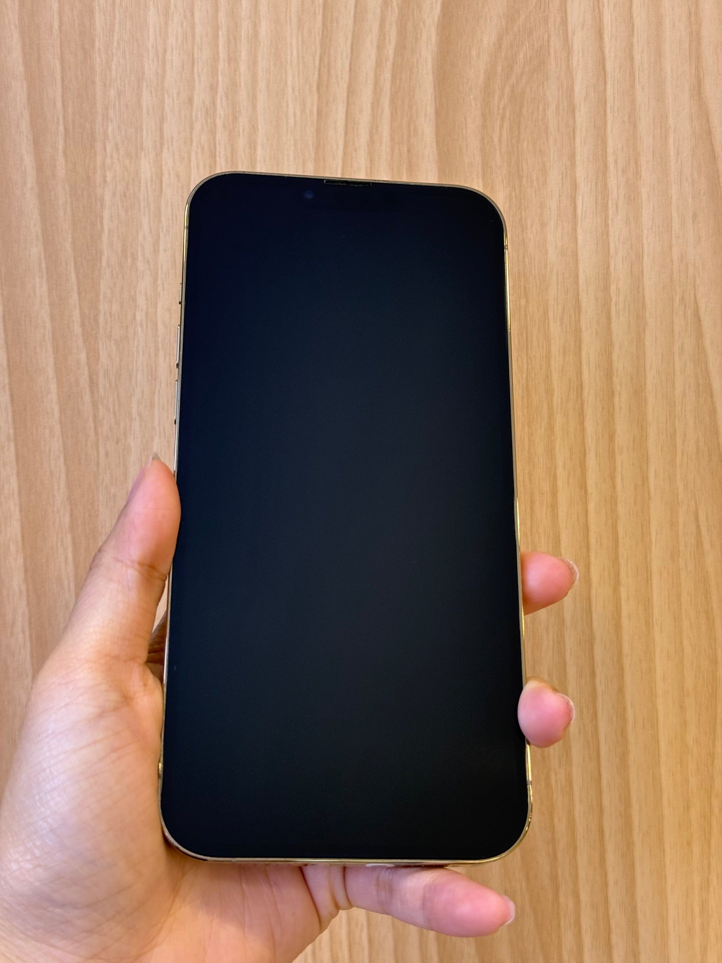 iPhone 13 Pro Max, 512GB (Grade R) *43887