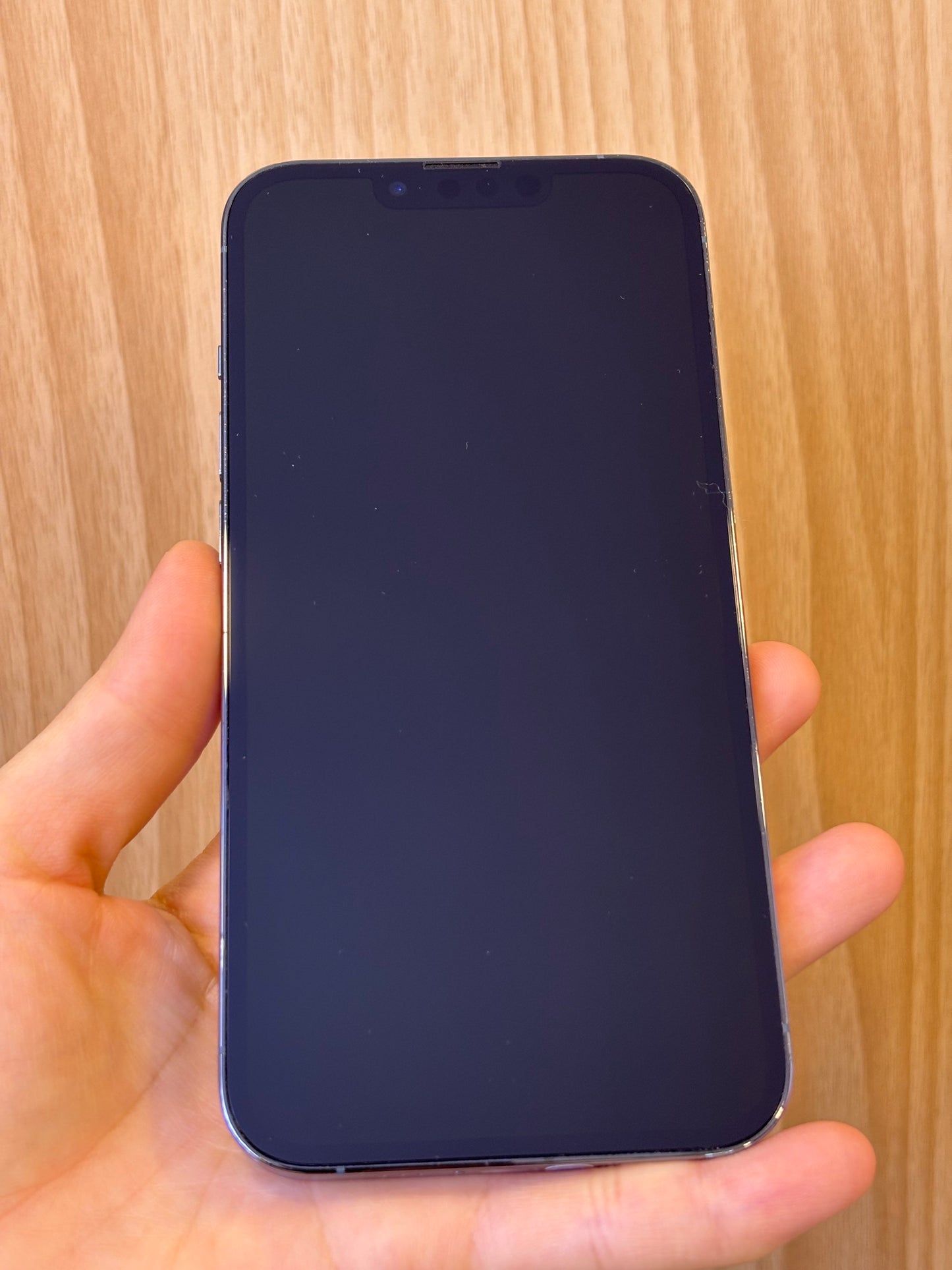 iPhone 13 Pro, 1TB (Grade B) *90541