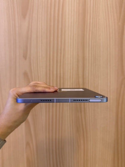iPad mini 6th Cellular, 256GB *90577