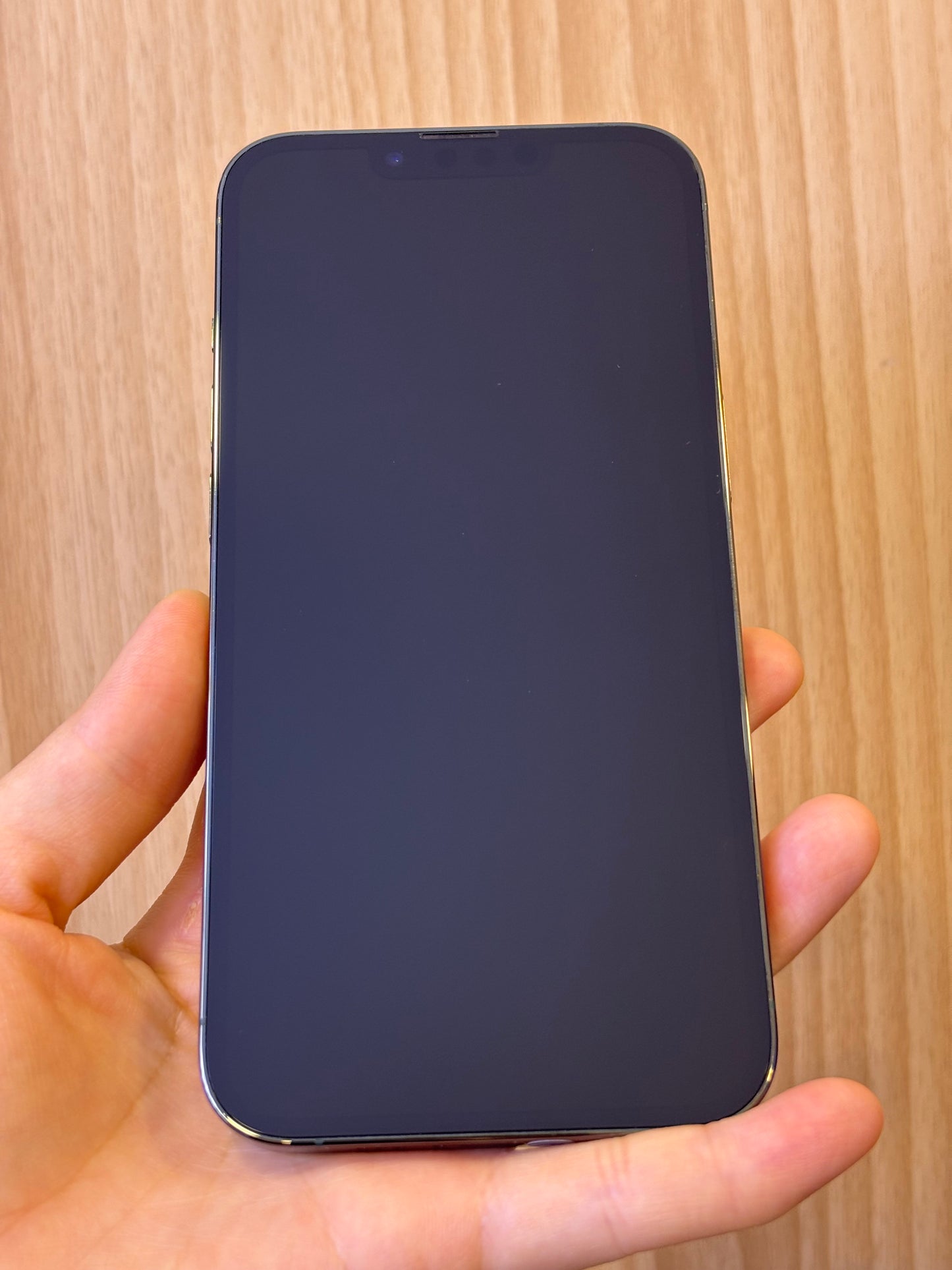 iPhone 13 Pro, 256GB (Grade B) *63998