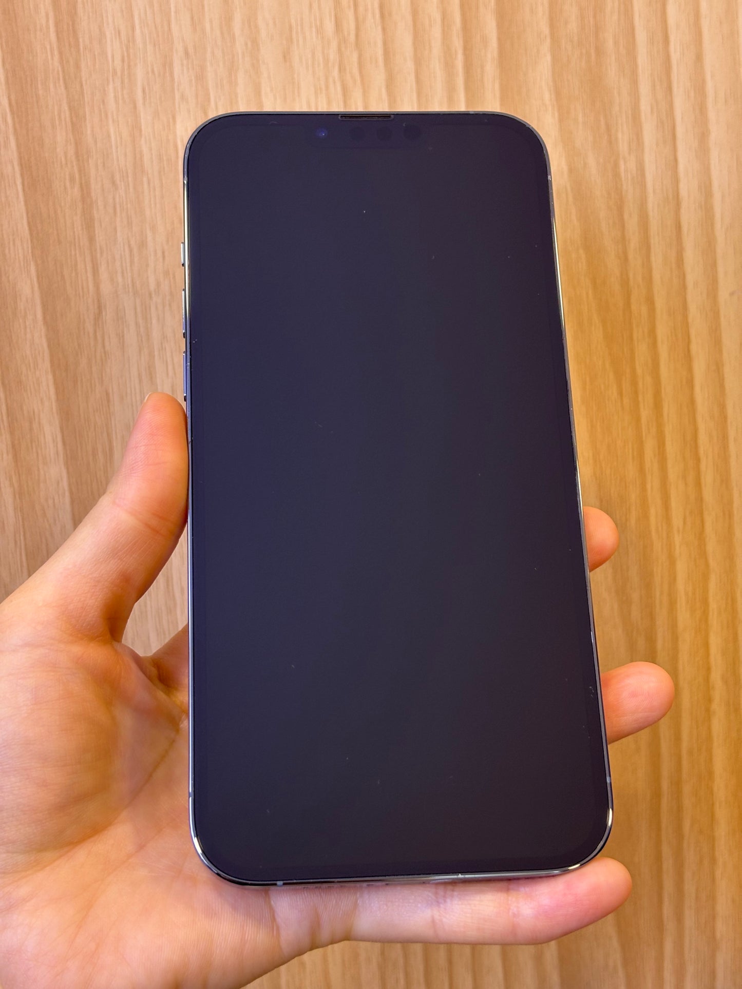 iPhone 13 Pro Max, 256GB (Grade B) *04621