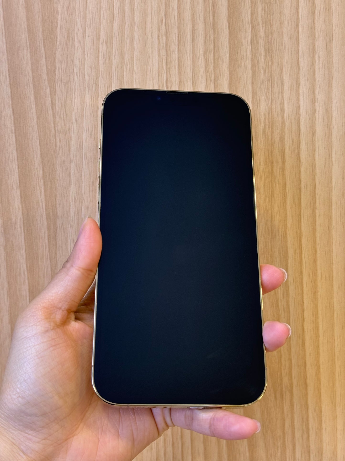 iPhone 13 Pro Max, 512GB (Grade R) *17365