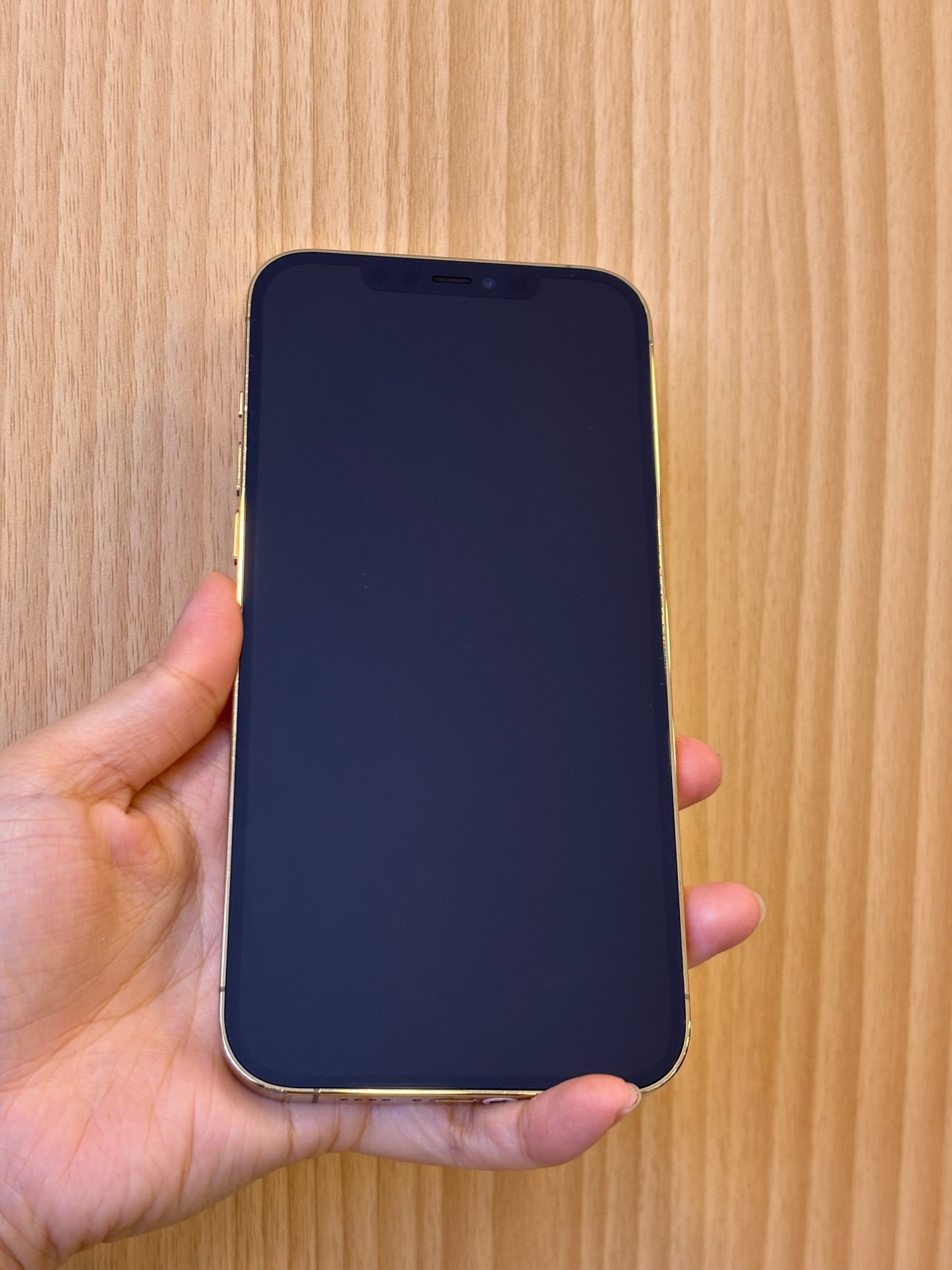 iPhone 12 Pro Max, 256GB (Grade B) *18359