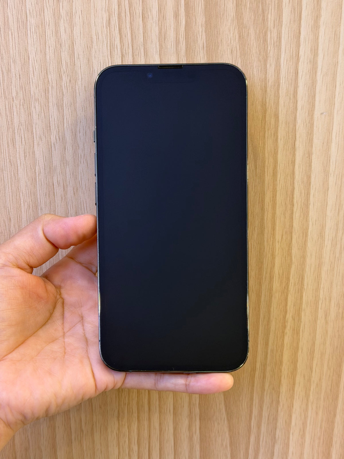 iPhone 13 Pro, 256GB (Grade AB) *02051