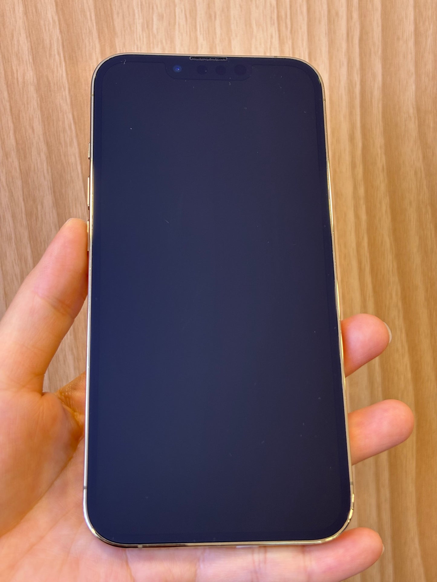 iPhone 13 Pro, 256GB (Grade B) *81422