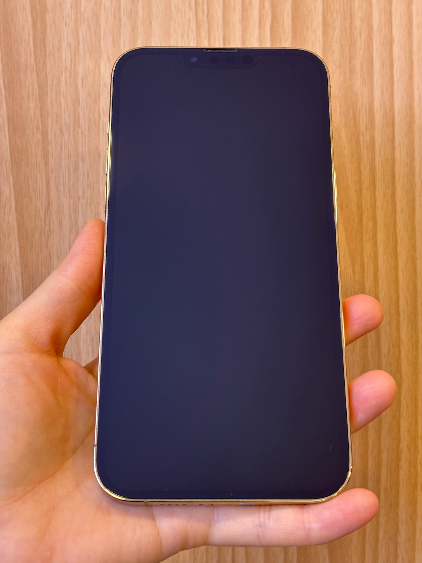 iPhone 13 Pro Max, 256GB (Grade B) *68066